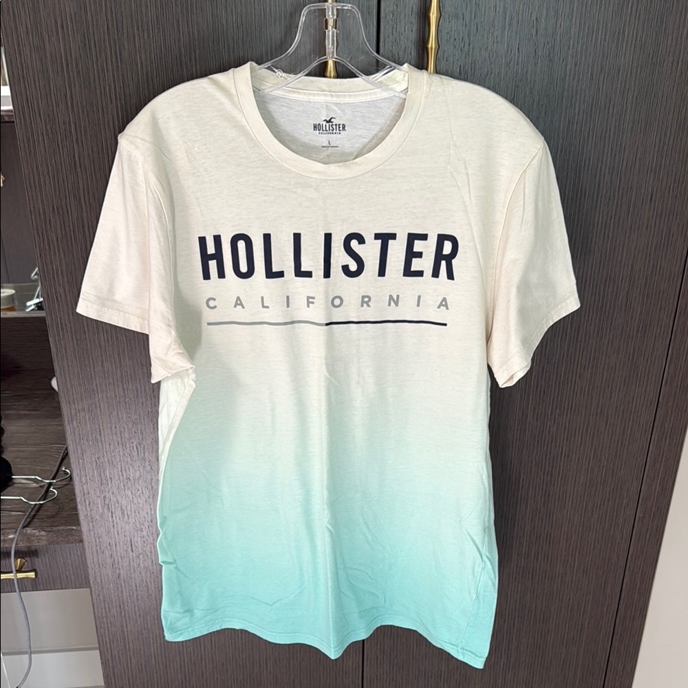 Hollister Cream and Mint Short Sleeve Tee